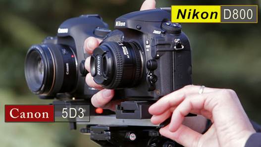 Description: Nikon D800 and 5D Mark III are 2 competitors that have the same ability and strength.