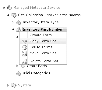 The Term Set Edit Control Block menu