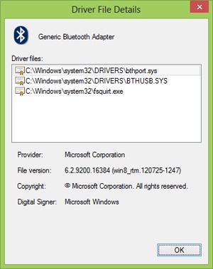 File information for the selected driver