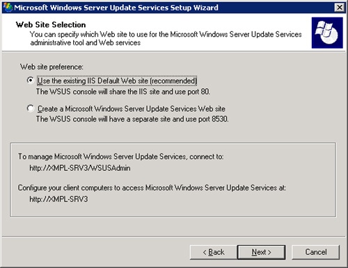 The Web Site Selection dialog box of the Microsoft Windows Server Update Services Setup Wizard