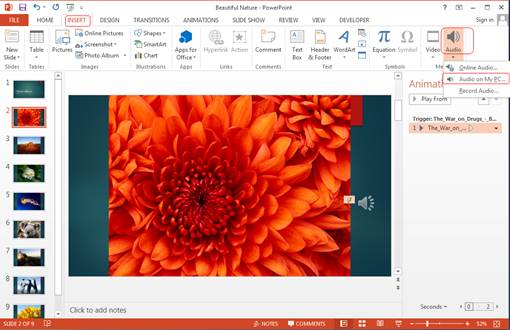 Audio can play across many sides in PowerPoint