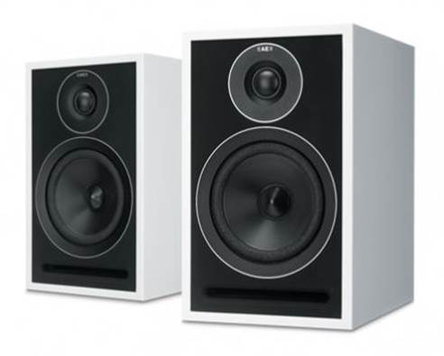 The 301s are terrific speakers and the most competitive Acoustic Energy speakers we've heard in years