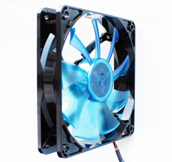 The fan viewed from a tilt angle
