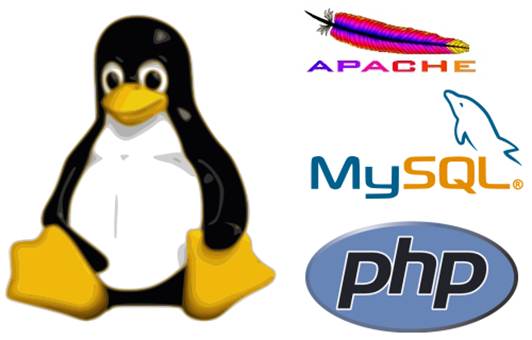Description: Access MySQL from PHP