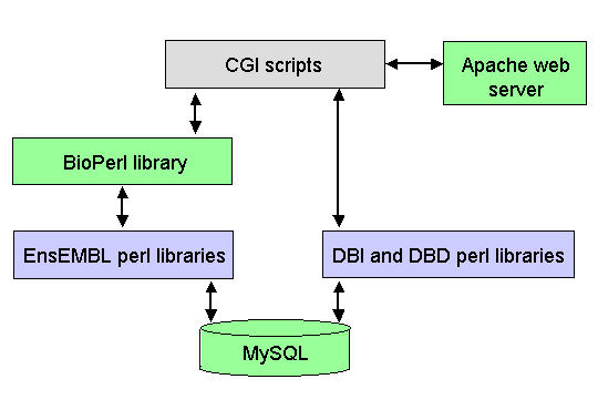 Description: you can use the MySQL client or you can use a perl API for connecting to MySQL from perl scripts.
