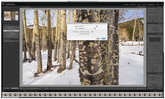 you can edit and export the movie according to your end use Lightroom 4 also offers an easy way to create a time-lapse sequence