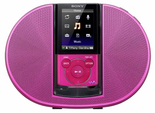 Years ago, consumers purchased PMPs (portable media players) solely to store, transport, and play songs they ripped from their music CDs