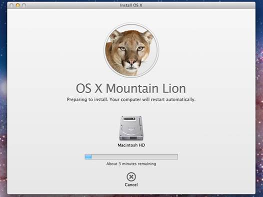 Set up OS X