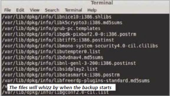  
The files will whizz by when the backup starts
