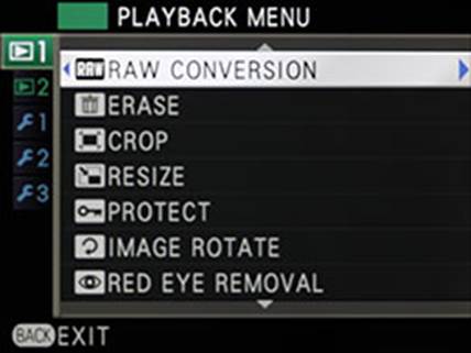Press the Menu button and the first item is the Raw conversion. Press the right arrow to start.