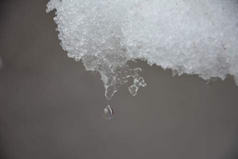 Macro Snow Drop \ 1/640 sec \ f/6.3 \ 105 mm \ ISO 100
