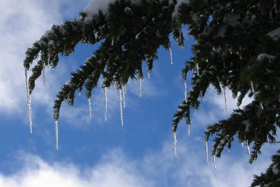 Wherever small quantities of water drip away continually you’ll find icicles forming in cold weather