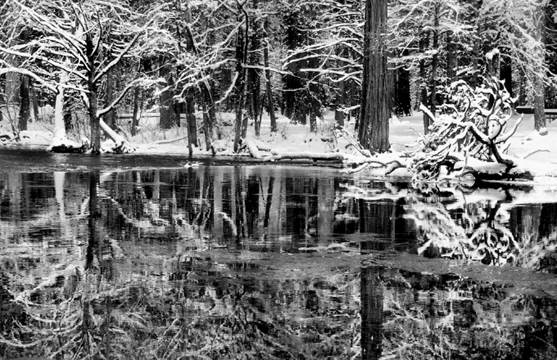 This combination of factors makes winter an ideal time to try your hand at black & white photography