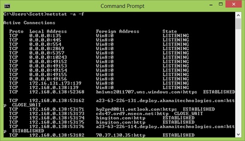 Results of the netstat command
