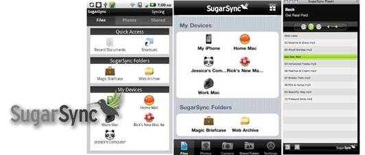 Description:  SugarSync Increases Free Cloud Storage to 5GB