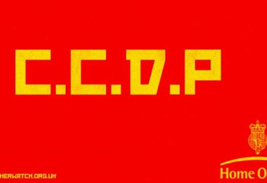 Description: What is CCDP