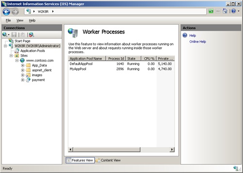 Querying current worker processes by using IIS Manager.