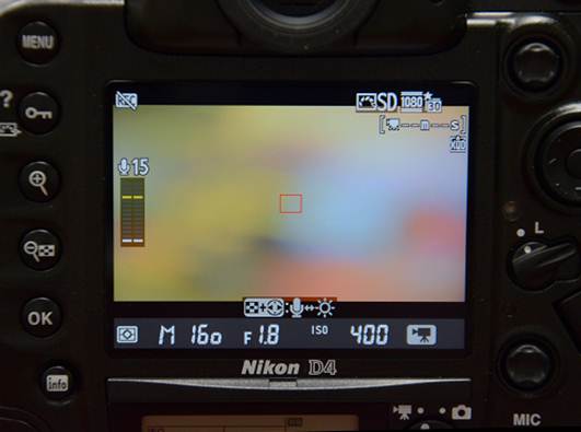 Description: Nikon D4 LCD Screen