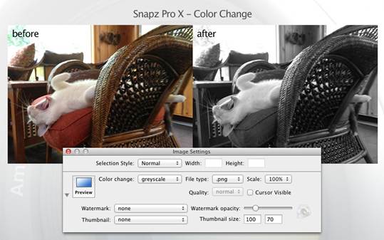 Snapz Pro still gets the basic job done, but you can find fuller-featured, more-affordable alternatives