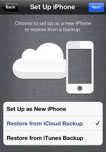 You can control what iCloud stores for you in your online backup