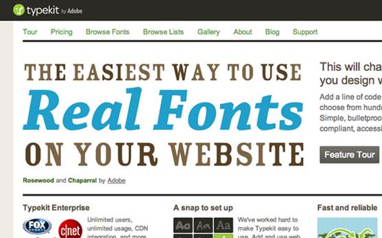 For professional use, the Typekit service, which was acquired Adobe in 2011, provides a wider range of fonts