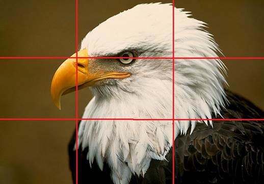 The rule of thirds indicates the areas in which the viewer’s eyes tend to rest naturally, allowing for more interesting framing