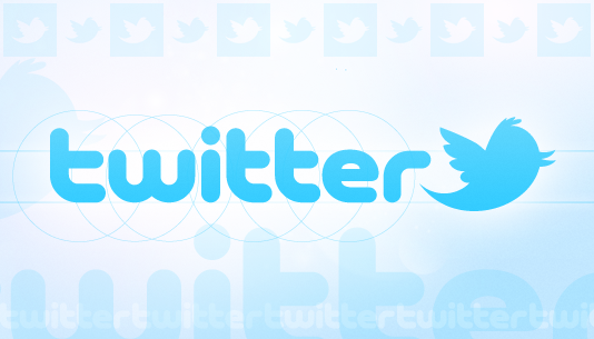 Description: The Social Nextwork: Twitter