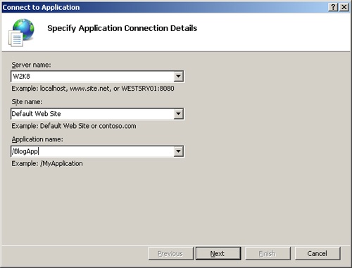 Application connection details in the Connect To Application dialog box.