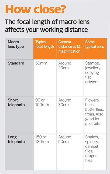 Description: The focal length of macro lens affects your working distance
