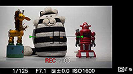 Description: The default view when recording movies is cut off, leaving wide margins around the region being recorded. Exposure parameters and a timer are displayed.