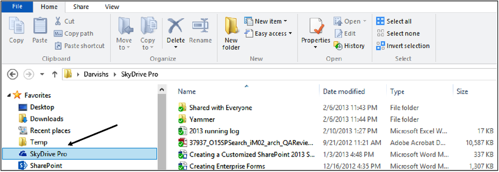 A screenshot of the SkyDrive Pro client application within Windows Explorer. The user has synchronized a number of documents from SharePoint to their local computer.