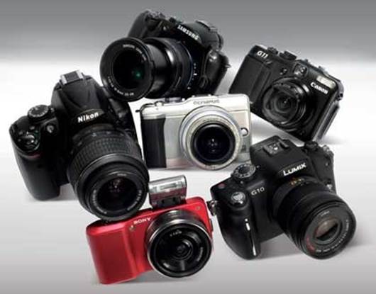 Which camera to buy? 