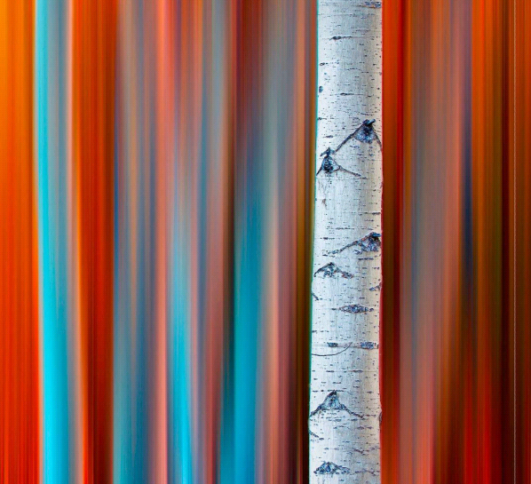 Create colorful autumn abstracts