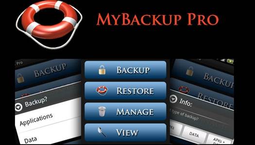 Description: Beyond restoring backups, users can also log into Rerware’s website to trigger a backup and view backups online. 