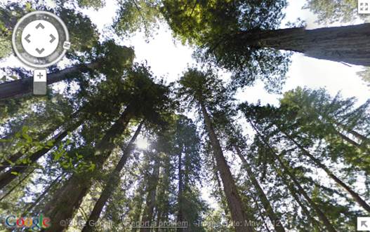 Description: If you can't explore California's national parks in person this summer, explore them from home with Street View