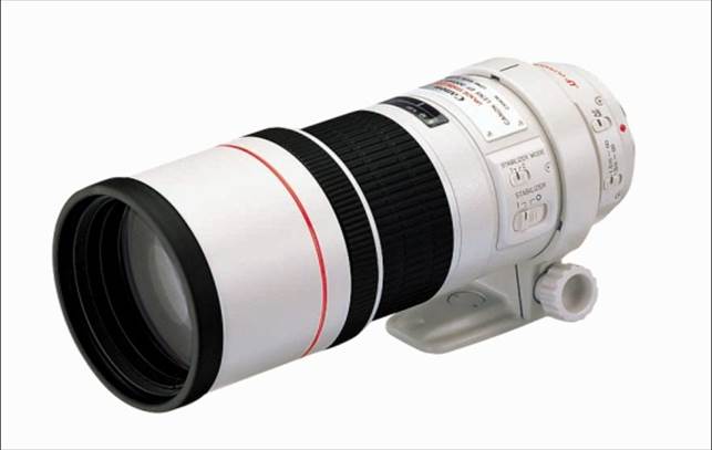 Description: Canon EF 300mm f/4L IS USM